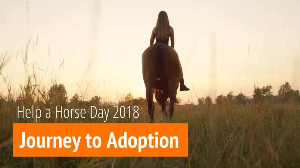 Ribbon Ride - Journey To Adoption- Help A Horse Day