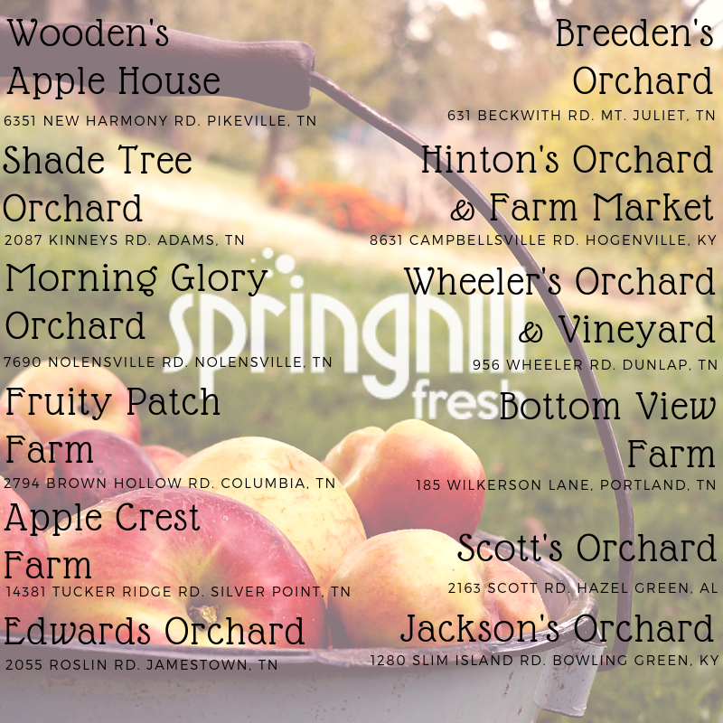 Apple Orchards & Farms