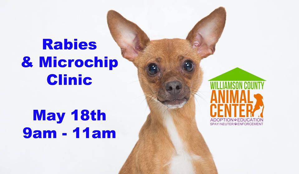 May Rabies and Microchip Clinic