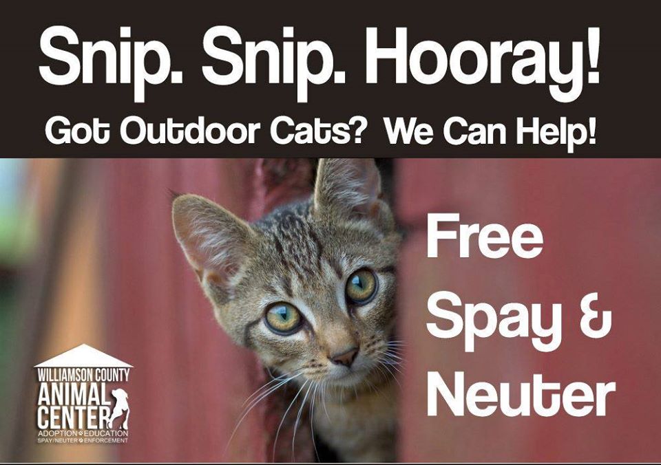 Free SpayNeuter Clinic for Outdoor Cats Spring Hill Fresh Keeping